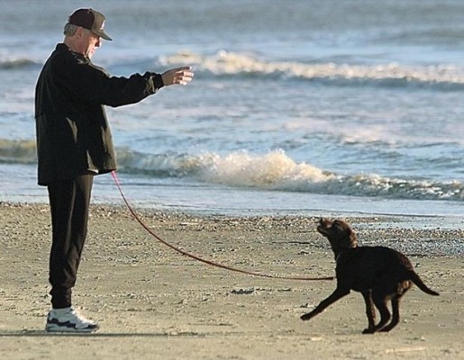 Att arbeta för en god relation med sin hund är viktigt för att få en glad, lydig och trygg hund. I samspelet mellan hund och ägare kan man se hur stark känslomässig relation det finns mellan dem. (Foto:AFP/ PHOTO/Stephen Jaffe)