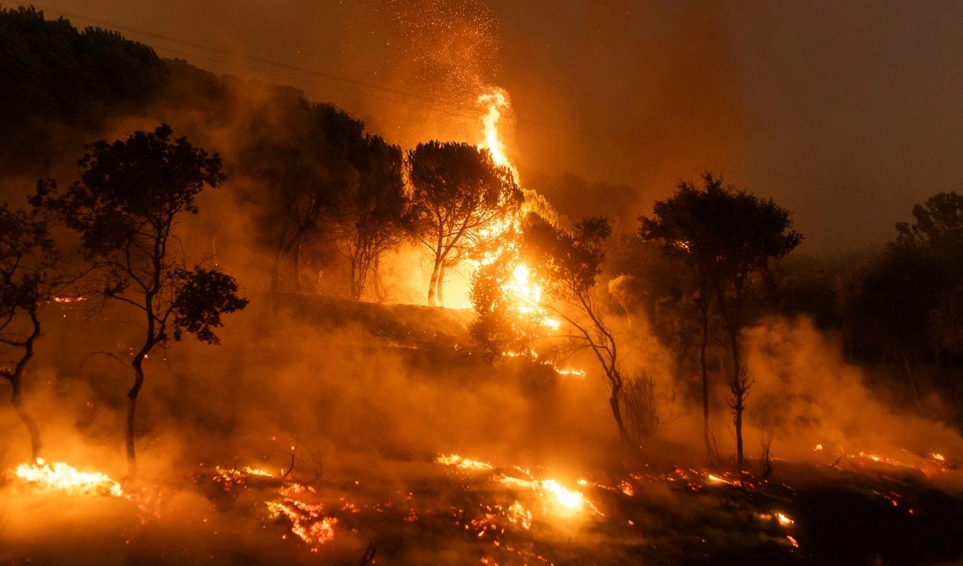 En av de många skogsbränder som härjat i nordöstra Grekland de senaste veckorna. Bilden är från den 22 augusti. Arkivbild. Foto: Achilleas Chiras/AP/TT