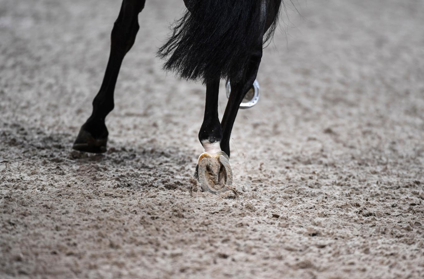 Det blev svensk seger när världscupens grand prix i dressyr avgjordes under Göteborg Horse Show. Maria von Essen med hästen Invoice vann. Arkivbild. Foto: Pontus Lundahl/TT