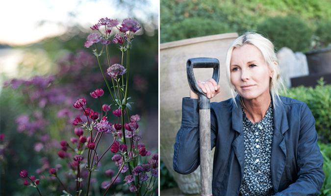 



Victoria skoglund har arbetat som trädgårdsmästare i 30 år. Nu delar hon med sig av sin egen privata trädgård i ny bok. (Foto: Lena Granefelt) Till vänster: Stjärnflocka. (Foto: Victoria Skoglund)                                                                                                                                                                                 