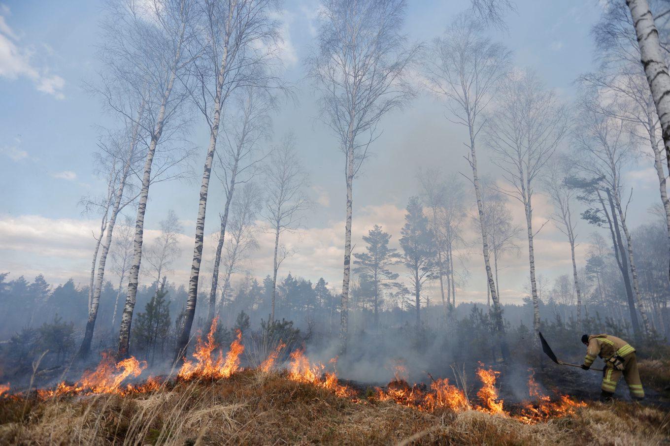 Det råder risk för gräsbränder i delar av Sverige. Arkivbild. Foto: Adam Ihse / TT