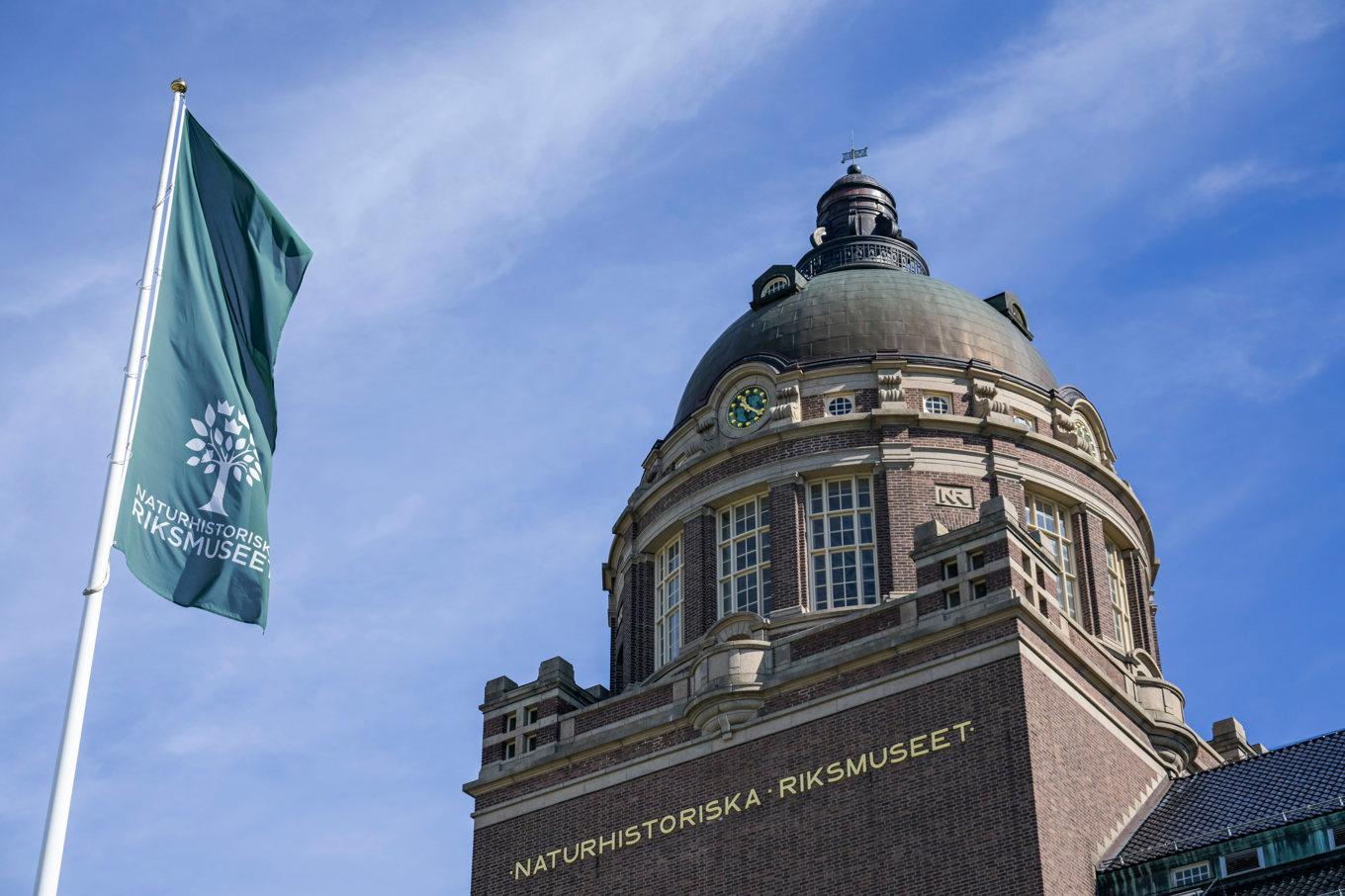 Naturhistoriska riksmuseet i Stockholm kompenseras för inkomstbortfall. Arkivbild. Foto: Janerik Henriksson/TT