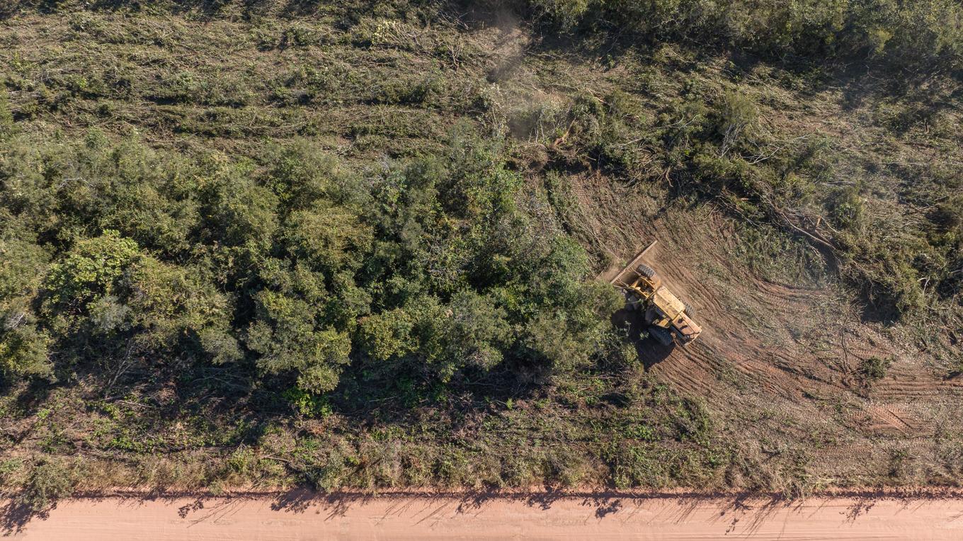 Stora delar av värdefull natur har skövlats för att göra plats för bomullsplantage. Här i Correntina, i Bahia i Brasilien i juni 2023. Foto: Thomas Bauer / Earthsight 2023/TT