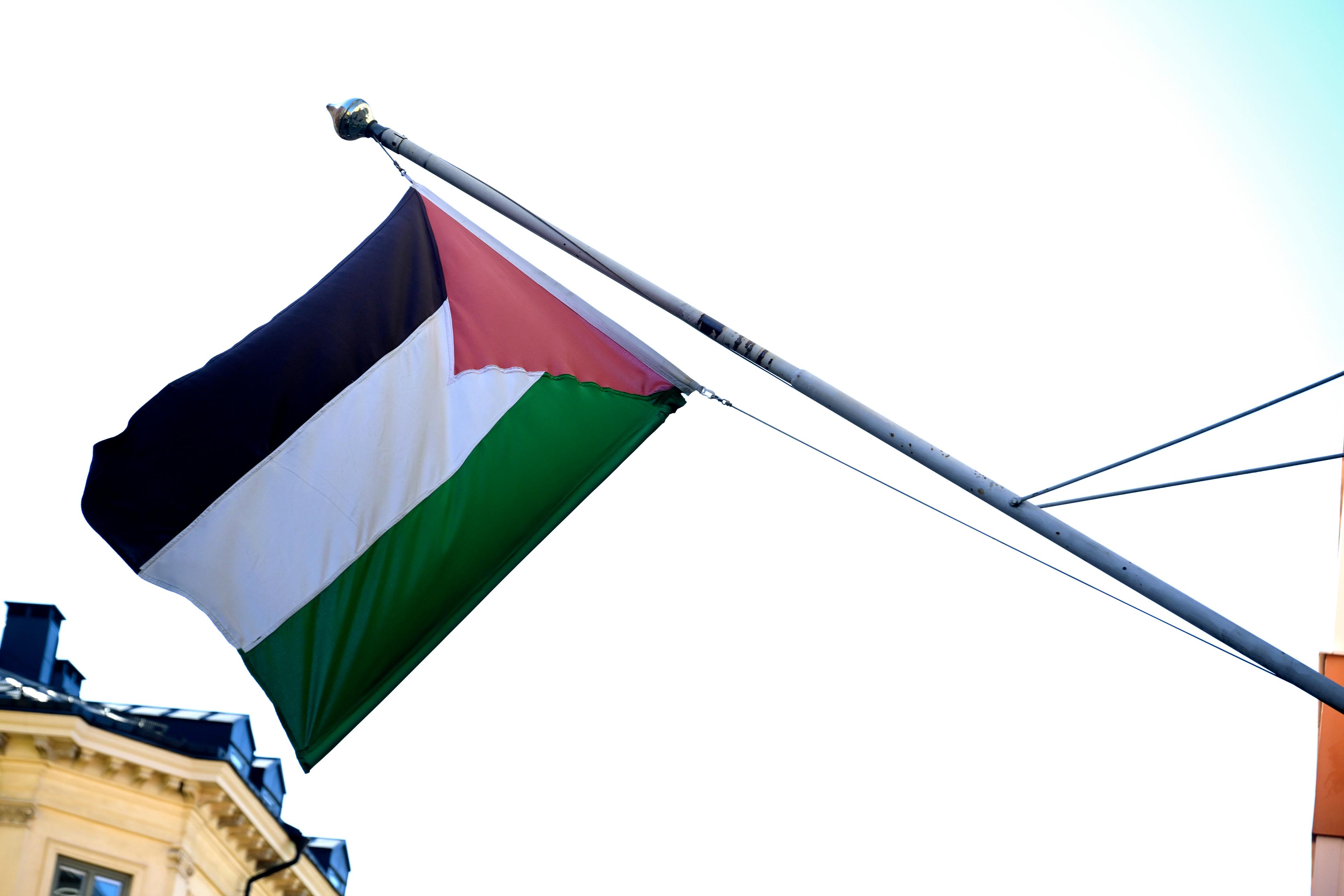 Det kommer inte vara tillåtet att ta med sig Palestinas flagga in i arenan i Malmö under eurovision. Arkivbild. Foto: Janerik Henriksson/TT