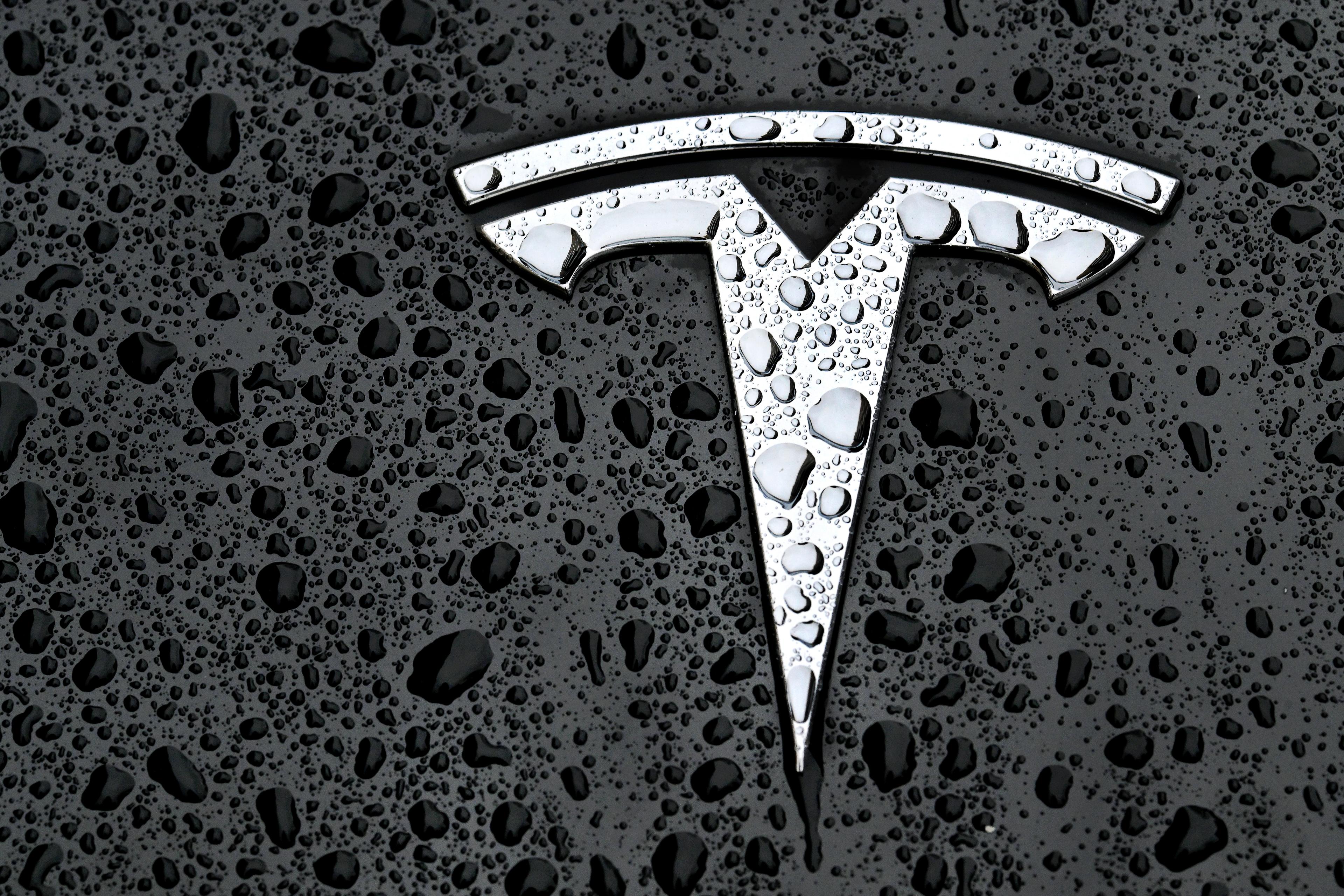 Bilmärket Teslas symbol. Arkivbild. Foto: Janerik Henriksson/TT