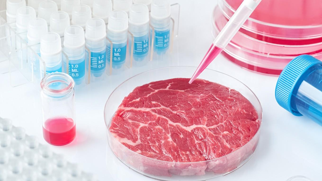 Delstaten Florida i USA förbjuder labbodlat kött. Foto: Tilia Lucida/Shutterstock