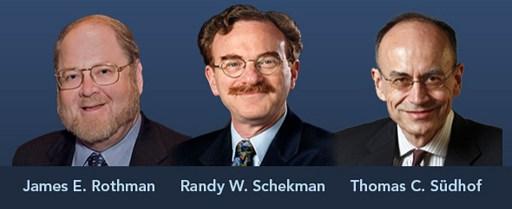 En skärmbil från Nobelprisets hemsida som visar de tre pristagarna James E Rothman från USA, Randy W Schekman från USA och Thomas C Suedhof från Tyskland. (Foto: Nobelpriset medicin / AFP)