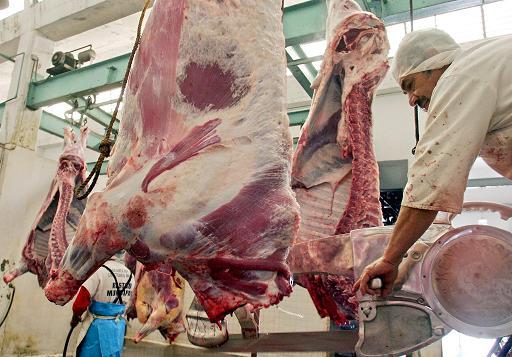 Köttallergi är mycket ovanligt men nu har tre fall av köttallergi konstaterats vid Södersjukhusets allergimottagning. (Foto: AFP PHOTO/Mario VAZQUEZ/MVT)