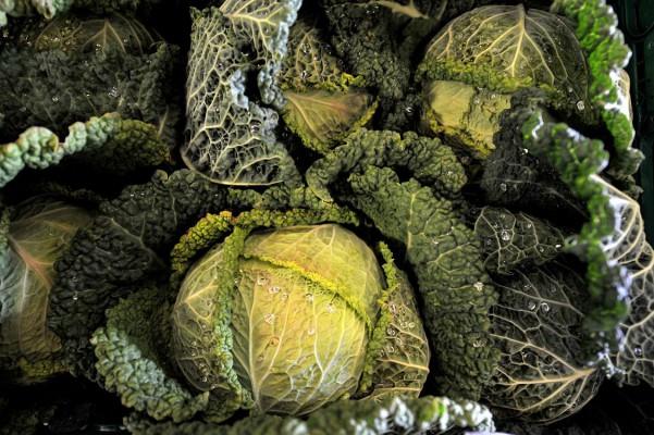 Ännu en ny svensk forskningstudie har påvisat kostens betydelse för att förhindra uppkomsten av sjukdom. Örebroforskaren Nils-Olof Hagnelius har upptäckt att demensjuka ha brist på folsyra. Folsyra och folat är olika former av samma B-vitamin och folat finns naturligt i mat, bland annat i gröna bladgrönsaker och kål. (AFP PHOTO / MYCHELE DANIAU