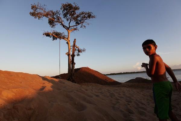 Ett ensamt träd står kvar vid Xingufloden efter att en sektion av Amazonas regnskog avverkats nära Belo Monte dammen som ska bli världens tredje största vattenkraftverk. Tusentals invånare i staden Altamira måste flytta då en tredjedel av staden kommer att stå under vatten.(Foto: Mario Tama / Getty Images)
