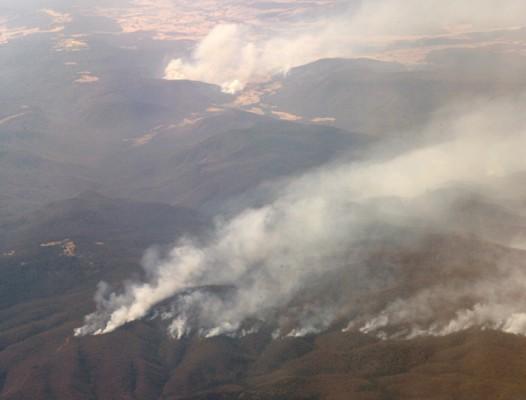 Den australiensiska skogsbranden slingrar sig genom norra Victoria. Drygt 3 000 brandmän har i veckan haft fullt upp med att bekämpa landets värsta skogsbrand på 70 år. (Foto:  William West/AFP)