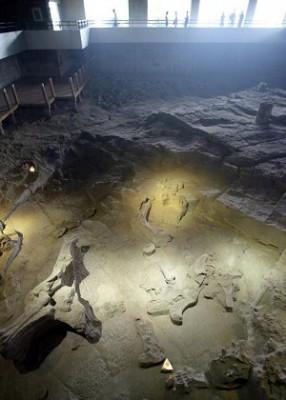 Besökare beundrar en bevarad fyndplats där dinosaurier en gång levde och dog i mellersta jura-eran, ungefär 160 miljoner år sedan. Platsen finns i Zigongs dinosauriemuseum i Sichuan, i sydvästra Kina. Det nyligen upptäckta platsen i dinosauriereservatet Erlianyanchi i Inre Mongoliet kan visa sig vara den rikaste fyndplatsen för dinosaureiben i Asien. (GOH CHAI HIN/AFP/Getty Images)