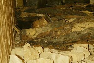 Träsarkofag med färgade begravningsmasker innehållande mumier visas den 10 februari 2006 av Högsta rådet för antikviteter i Egypten, i en grav belägen fyra meter under mark i Konungarnas dal i västra delen av Luxor. Graven, som upptäcktes av den amerikanske arkeologen Otto Schaden, är den första som upptäckts i dalen sedan Tutankhamuns 1922. (Foto: Khaled Desouki/AFP)