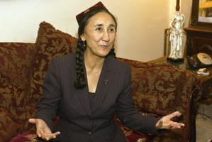 Författaren har svårt att föreställa sig att denna livliga 59-åring skulle vara Kinas "kvinnliga fiende nummer ett". (Foto: Getty Images)