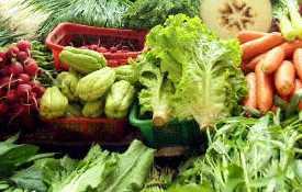 Ett av Dr Mc Coys tips för att undvika influensan är att äta mycket grönsaker. (Foto: AFP)