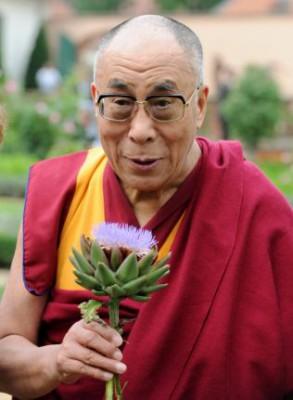 Den tibetanske andlige ledaren Dalai Lama håller en blomma när han besöker Seliginstadt, Tyskland den 22 augusti. (Foto: Arne Dedert/AFP/Getty Images) 
