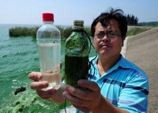 Miljöaktivisten Wu Lihong håller upp flaskor för att visa skillnaden mellan rent vatten och vatten med algföroreningar i från Taihusjön i Jiangsuprovinsen. Trots en två decennier lång kamp för att rensa upp det tidigare turistmålet, vilket gav honom två års fängelse, så stinker vattnet i Taihusjön fortfarande av föroreningar, enligt Wu. (Foto: Mark Ralston/AFP/Getty Images)
