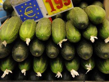 Dyra gurkor: Spaniens gurkbönder drabbades hårt av spekulationer om att det dödliga E. coli-utbrottet i Tyskland kom från spanska gurkor. (Foto: Denis Doyle / Getty Images)