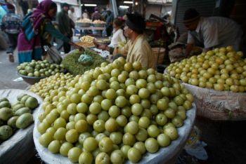 Amalafrukten efterfrågas oftast under vintersäsongen. Extrakt från frukten har ett högt innehåll av vitamin C. Amala är en av de mest använda växterna i Ayurveda. (Sam Panthaky/AFP/Getty Images)