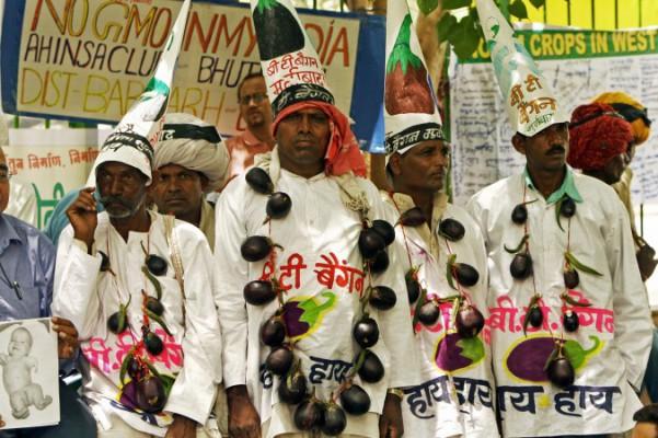 Indiska bönder protesterar mot genetiskt modifierade grödor i New Delhi, Indien, den 6 maj 2008. (Foto: Raveendran/ AFP/Getty Images) 