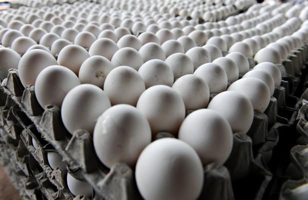 Nya forskningsrön talar för att ägg har antioxidativa egenskaper som kan skydda mot hjärtsjukdomar och cancer. (Foto: AFP/Elmer Martinez)