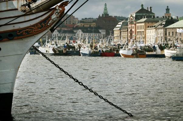 Den 22 oktober 2002 samlades tjugosju svenska fiskebåtar med upprörda fiskare vid skeppsbron i centrala Stockholm. De protesterade mot dåvarande regeringens planer på att förbjuda torskfisket i Östersjön. Nu kritiseras Sverige för att ha fiskat för mycket torsk. (Foto: AFP/Henrik Montgomery)