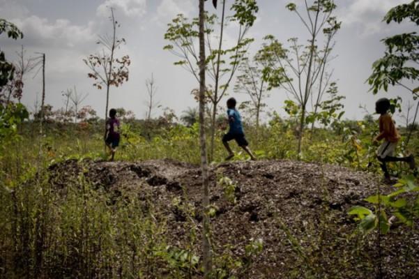 Barn leker vid flishögar som var avsedda för biomassa för energiförbrukning i det västafrikanska landet Liberia. Vattenfall hade gjort investeringen 2010 och drog sig plötsligt ur 2012 vilket lämnade de liberiska bönderna och arbetarna i en svår sits. (Foto: Anders Hansson/Swedwatch)