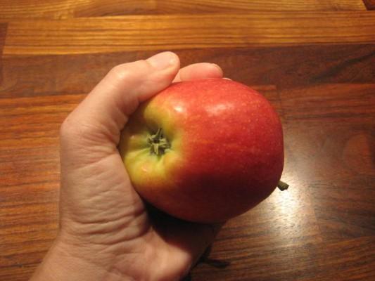 
Hippokrates, känd som "läkekonstens fader" i antikens Grekland, ansåg att mat är medicin. Äpplen anses som en av de allra nyttigaste som finns och ett par äpplen om dagen anses bland annat kunna stärka hjärnans funktion. (Foto: Epoch Times)                                            