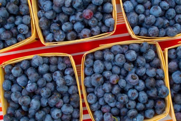 Blåbär är fulla med antioxidanter. (Foto:via Shutterstock)
