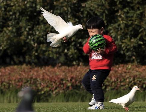 Ett nytt fall av H7N9 har bekräftats i Shandongprovinsen. Man har funnit viruset hos den 4-årige sonen till en patient med fågelinfluensa i staden Zaozhuang. Bilden visar en pojke som leker med duvor på Folkets torg i Shanghai den 7 april 2013. (Foto: ChinaFotoPress via Getty Images)