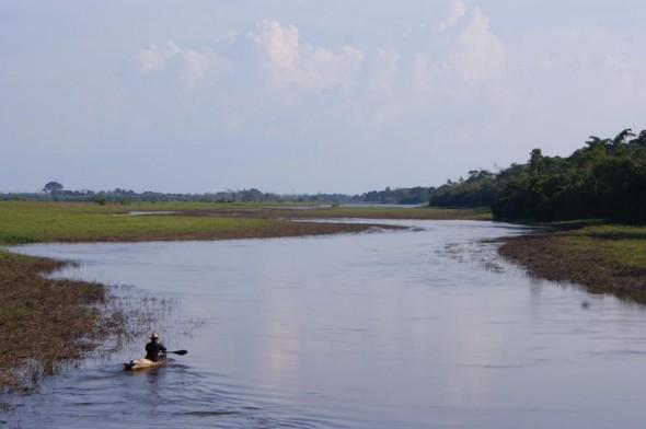 En man paddlar kanot på Uatumãfloden som löper längs Amazonas regnskog i Brasilien. Jordbruket är en av de viktigaste orsakerna till kalhuggning av regnskogen. (Med tillstånd av Eduardo Rizzo Guimarães)