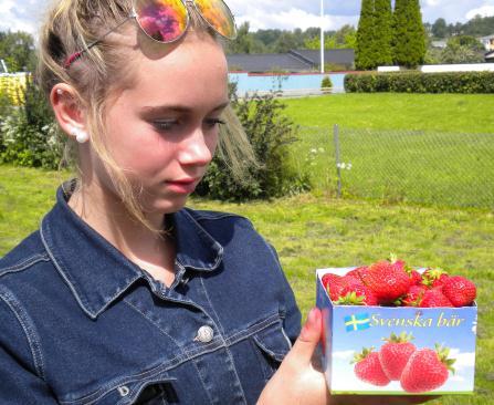Unga Celine säljer jordgubbar vid vägkanten utanför Göteborg. Hon ser att de här billiga bären saknar information om bland annat ursprungsland, klass och odlare på kartongen, men den finns på de dyrare jordgubbarnas kartonger. (Foto: Barbro Plogander / Epoch Times) 