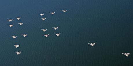 Arton Gripenflygplan i formation. (Bild: Försvarsmakten)