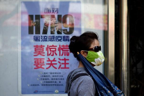 En kvinna med ansiktsmask går förbi en plansch som informerar hur man undviker fågelinfluensan i Peking, den 24 april 2013. Myndigheterna rapporterade om ett nytt fall i huvudstaden den 28 maj, samma dag som en ny studie visar att vissa personer kan bli resistenta mot antiviral behandling. (Foto: Wang Zhao/AFP/Getty Images)