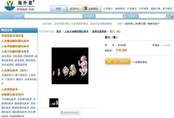 En bild från Beijing Overseas Star Science &amp; Technology Developments hemsida visar en serie plastinerade foster som man kan beställa. Chen Guoxin, företagets chef, sade att proverna inte får säljas, men mottagarna förväntas donera 10 000 dollar till hans företag efteråt. (Skärmdump/Epoch Times)
