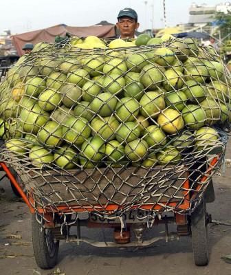 En last full med grapefrukt. Kanske den vietnamesiske försäljaren på väg till marknaden känner till att det bittra ämnet i frukten har välgörande hälsoeffekter? (Foto: Hoang Dinh Nam/AFP)