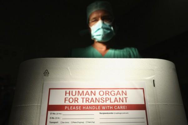En tom frigolitlåda som används till att transportera mänskliga organ visas upp under ett mediaevenemang på Vivantes Neukoelin-kliniken i Berlin den 28 september 2012. (Foto: Sean Gallup/Getty Image)