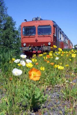 Inlandsbanetåget i Sveg. Tåget kör 1300 kilometer från Lappland till Kristinehamn. (Foto: AFP/Joachim Lagerkrantz)