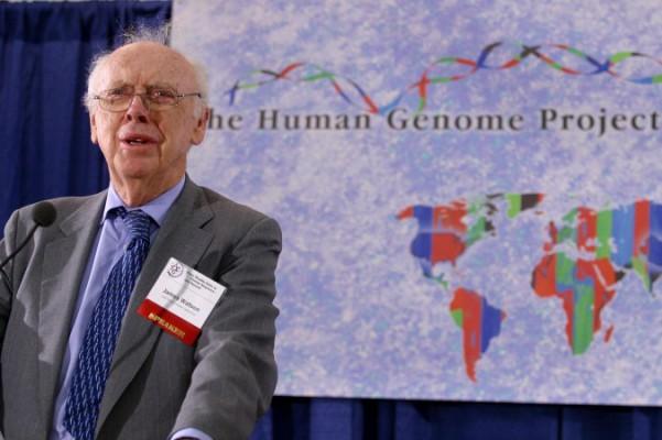 Nobelpristagaren James D. Watson talar vid en presskonferens den 14 april 2003, på nationella hälsoinstitutet i Bethseda, Maryland, för att meddela att ett konsortium från sex länder har framgångsrikt utarbetat en fullständig karta över det mänskliga genomet, och slutfört ett av de mest ambitiösa vetenskapliga projekt någonsin, som ger en stor möjlighet till vidare medicinska framsteg. (Foto: Robyn Beck / AFP / Getty Images)