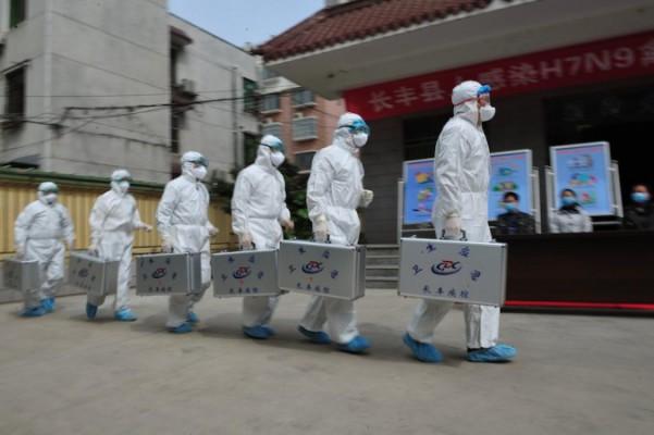 Läkare deltar i en övning som simulerar att människor smittats av den nya fågelinfluensan (H7N9), den 9 april i Hefeia. Det första officiella fallet i Peking rapporterades under lördagen. (Foto: ChinaFotoPress / Getty Images)