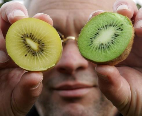 Kiwifröna fungerar som en peelingkräm för huden och hjälper ditt ansikte att bli slätt och mjukt. På bilden syns kiwifrukter från Nîmes, Frankrike. (Foto: AFP/Dominique Faget)