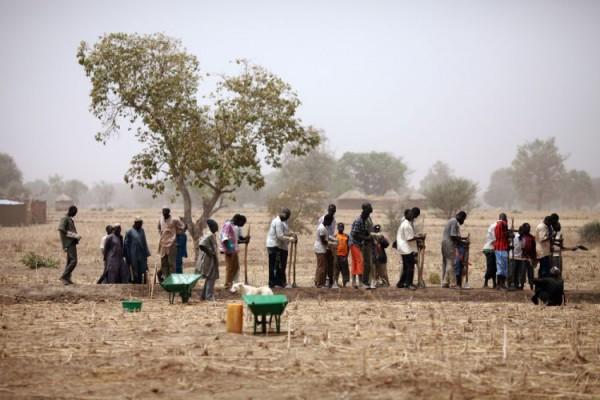 Arbetare på ett fält i Sahelregionen i Burkina Faso den 21 mars. Arbetet drivs som ett projekt av en fransk ideell organisation där arbetarna får lön för sitt arbete. (Foto: Raphael de Bengy/AFP/ Getty Images)  