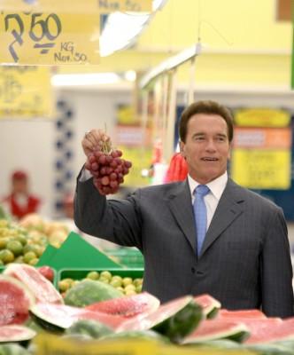 Kaliforniens guvernör Arnold Schwarzenegger har diskuterat klimatfrågor med Fredrik Reinfeldt vid den svenska statsministerns besök i Sakramento och fick i samband med besöket inbjudan till Sverige. (Foto: AFP/Luis Acosta/Arkivbild) 
