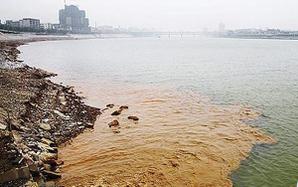 Föroreningar av tungmetaller i floden Xiangjiang (Foto: bild från den kinesiska artikeln på nätet)