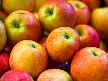 Bakterier håller doktorn borta: Råttor som får äta äpplen har en större mängd goda bakterier i matsmältningssystemet. (Photos.com)