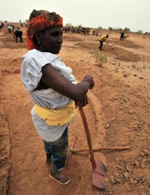 En nigeriansk kvinna från byn Tibiri i Zinderregionen, gräver ett dike för att samla regnvatten. De flesta afrikanska kvinnor arbetar inom jordbruket, vilket gör dem till viktiga aktörer i utformningen av strategier för att mildra effekterna av klimatförändringar. Men deras röster hörs inte. (Foto: Issouf Sanogo/AFP/Getty Images)
