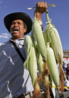 En bonde i staden Mexiko demonstrerar mot det höga priset på majs, som är basmat för många människor. (Foto: AFP/Luis Acosta, 2007-01-31)
