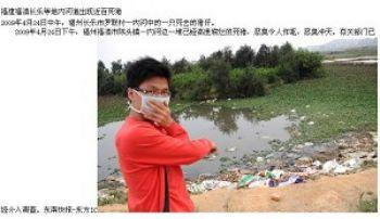 Ett stort antal döda grisar hittades i en flod i Kina. (www.fjx315.com web)