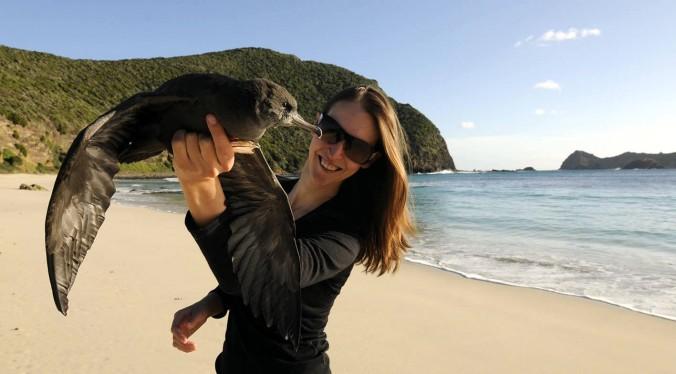 Jennifer Lavers med en ljusfotad lira på Lord Howeön, 2014. Hennes molekylära forskning har identifierat plastens genomträngande natur som inte bryts ner naturligt i haven utan ökar sin toxicitet och påverkar havs- och fågellivet på ett osynligt och farligt sätt. (Foto: Silke Stuckenbrock)
