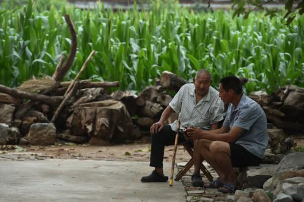 Två män lyssnar på radio i närheten av ett majsfält i Henanprovinsen i Kina. Allt fler gamla människor begår självmord i Kina, på grund av dålig ekonomi, dålig hälsa eller ensamhet, enligt en sociologisk studie. (Foto: Greg Baker/AFP/Getty Images)
